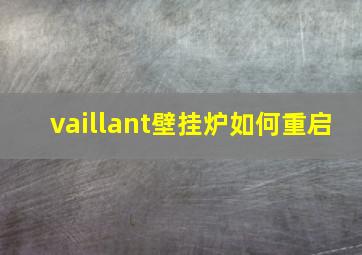 vaillant壁挂炉如何重启