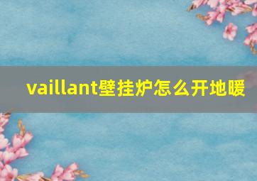 vaillant壁挂炉怎么开地暖