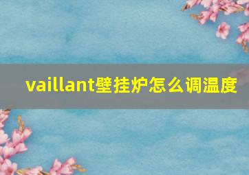 vaillant壁挂炉怎么调温度