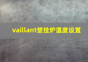 vaillant壁挂炉温度设置