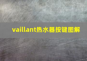 vaillant热水器按键图解