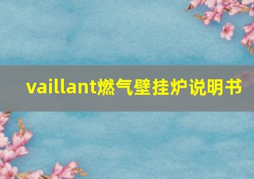 vaillant燃气壁挂炉说明书