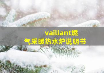 vaillant燃气采暖热水炉说明书