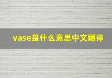 vase是什么意思中文翻译