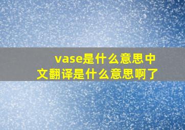 vase是什么意思中文翻译是什么意思啊了