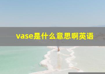 vase是什么意思啊英语