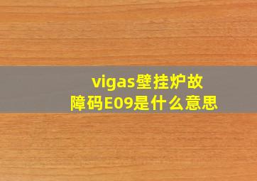 vigas壁挂炉故障码E09是什么意思