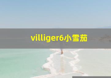 villiger6小雪茄