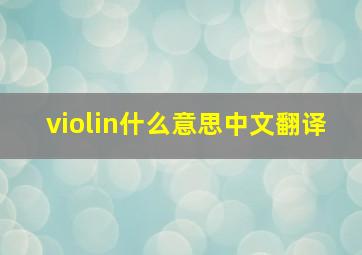 violin什么意思中文翻译