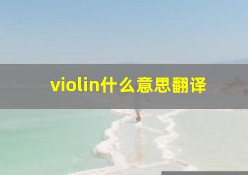 violin什么意思翻译