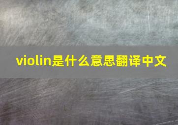 violin是什么意思翻译中文