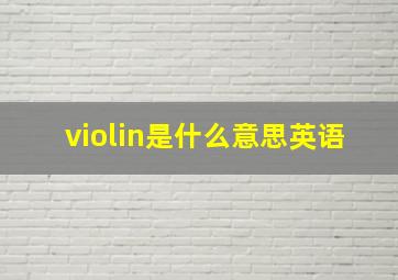 violin是什么意思英语