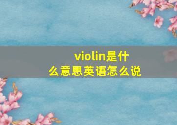 violin是什么意思英语怎么说