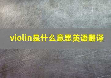 violin是什么意思英语翻译