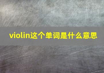 violin这个单词是什么意思