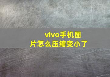 vivo手机图片怎么压缩变小了