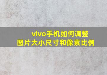 vivo手机如何调整图片大小尺寸和像素比例