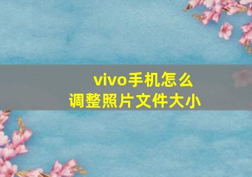 vivo手机怎么调整照片文件大小