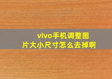 vivo手机调整图片大小尺寸怎么去掉啊