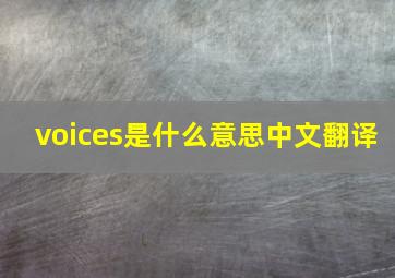 voices是什么意思中文翻译