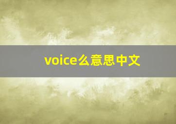 voice么意思中文