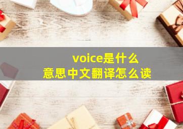 voice是什么意思中文翻译怎么读