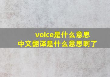 voice是什么意思中文翻译是什么意思啊了