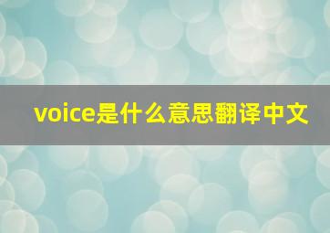 voice是什么意思翻译中文