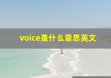 voice是什么意思英文