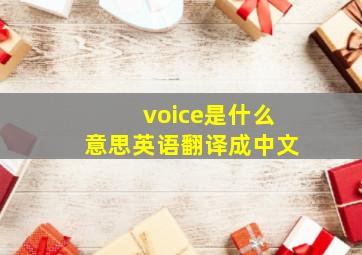 voice是什么意思英语翻译成中文