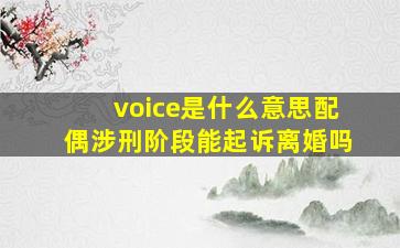 voice是什么意思配偶涉刑阶段能起诉离婚吗