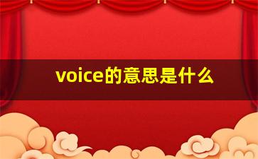 voice的意思是什么