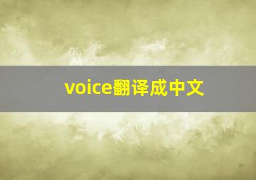 voice翻译成中文