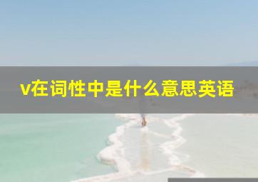 v在词性中是什么意思英语