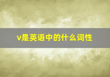 v是英语中的什么词性