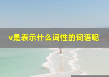 v是表示什么词性的词语呢