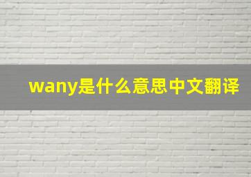 wany是什么意思中文翻译