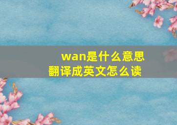 wan是什么意思翻译成英文怎么读