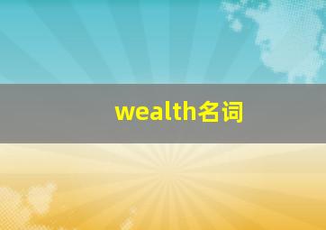 wealth名词