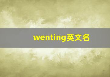 wenting英文名