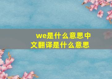 we是什么意思中文翻译是什么意思