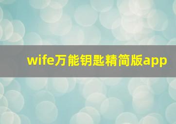 wife万能钥匙精简版app