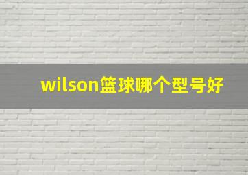 wilson篮球哪个型号好