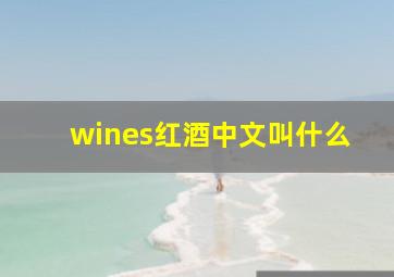 wines红酒中文叫什么