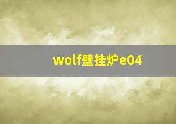 wolf壁挂炉e04