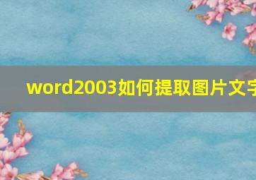 word2003如何提取图片文字