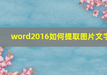 word2016如何提取图片文字