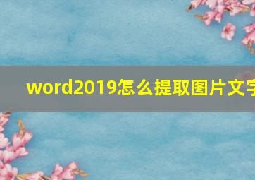 word2019怎么提取图片文字