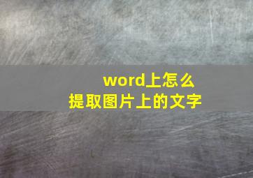 word上怎么提取图片上的文字