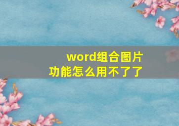 word组合图片功能怎么用不了了